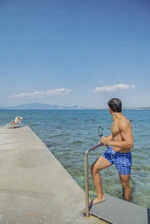 Altın Yunus