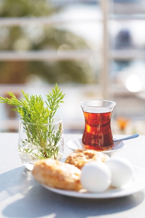 Altın Yunus